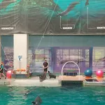 아파트 On The Wave *